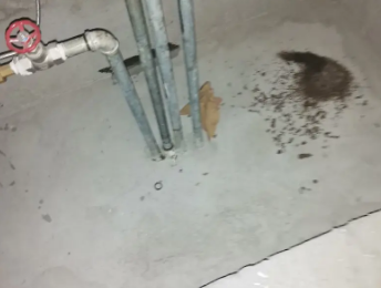 恩施卫生间测漏水价格明细